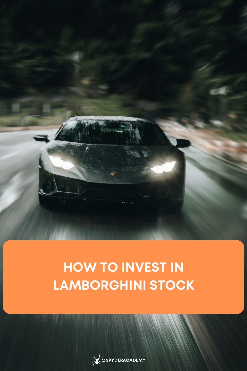 Unleashing the Bull: A Ride into Lamborghini's Financial Fast Lane