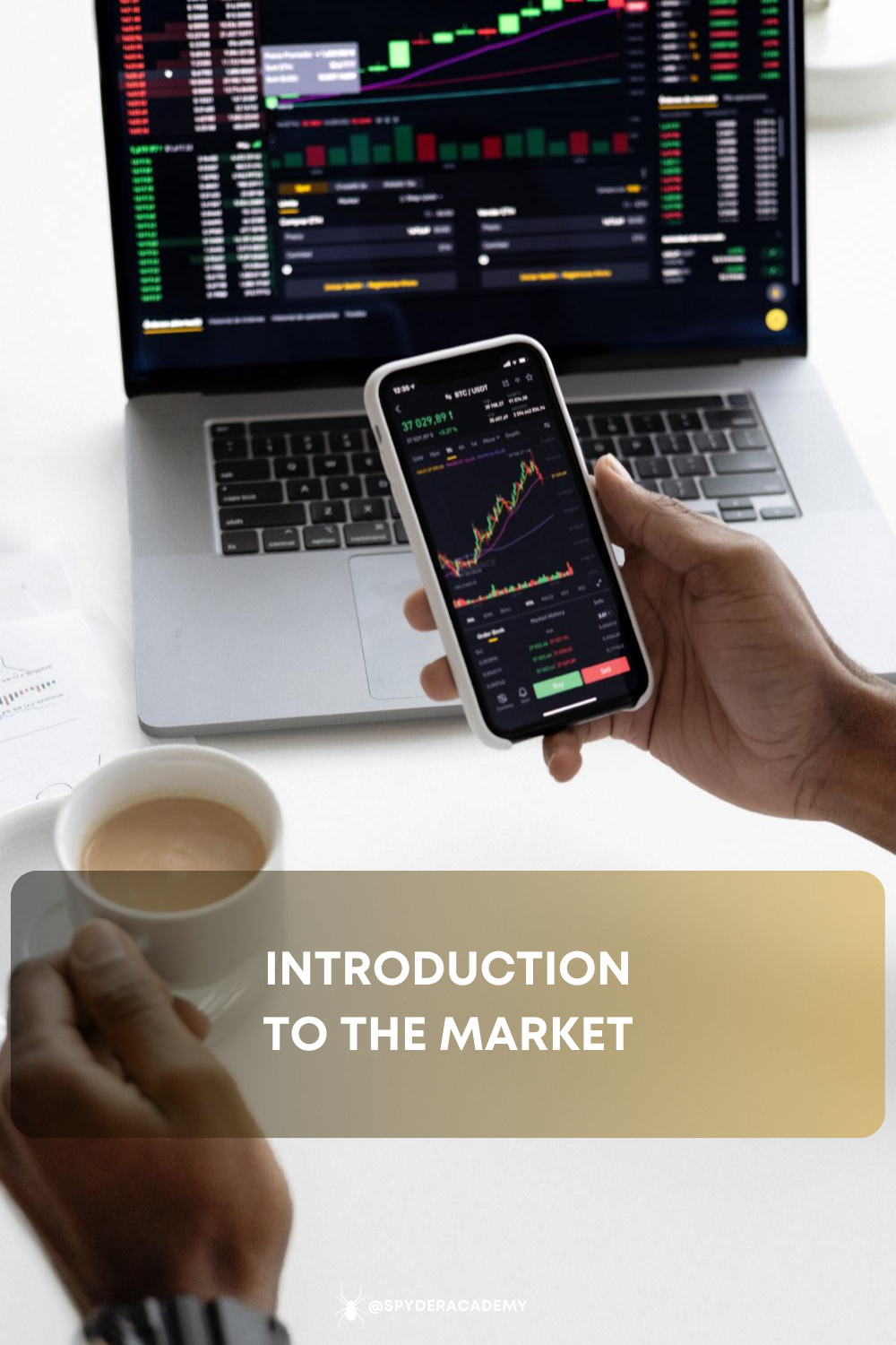 Introduction to the Stock Market