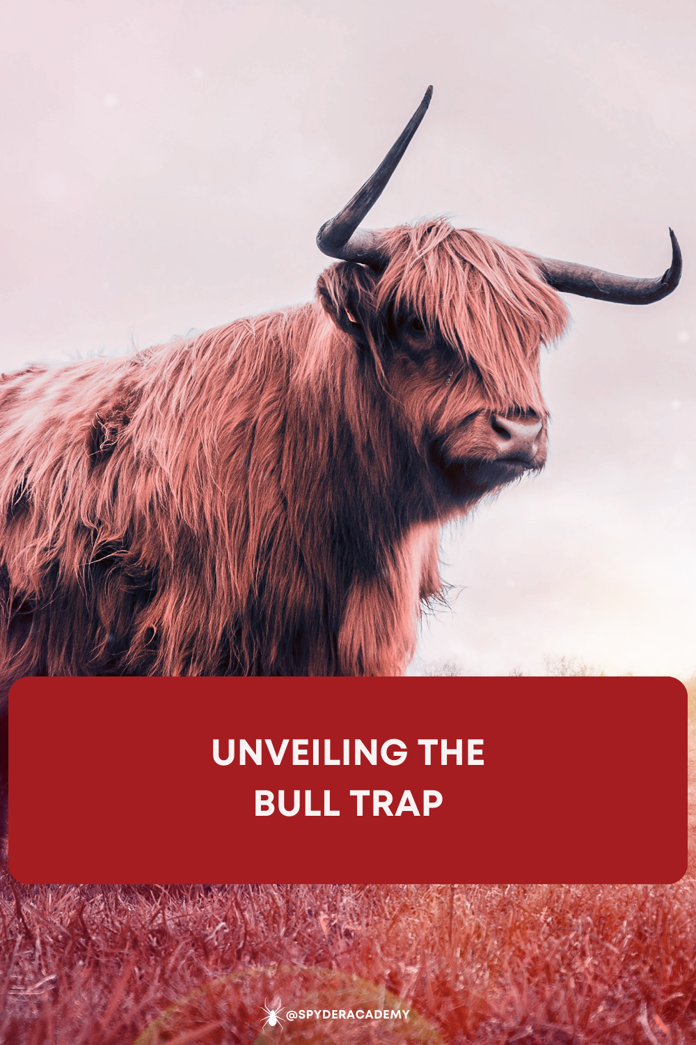 A bull trap occurs when a rising trend in the market prompts investors to believe that an asset's value is on a sustainable upward trajectory.