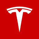 TSLA | The Investor's Journey Through Tesla's Stock Market Rollercoaster